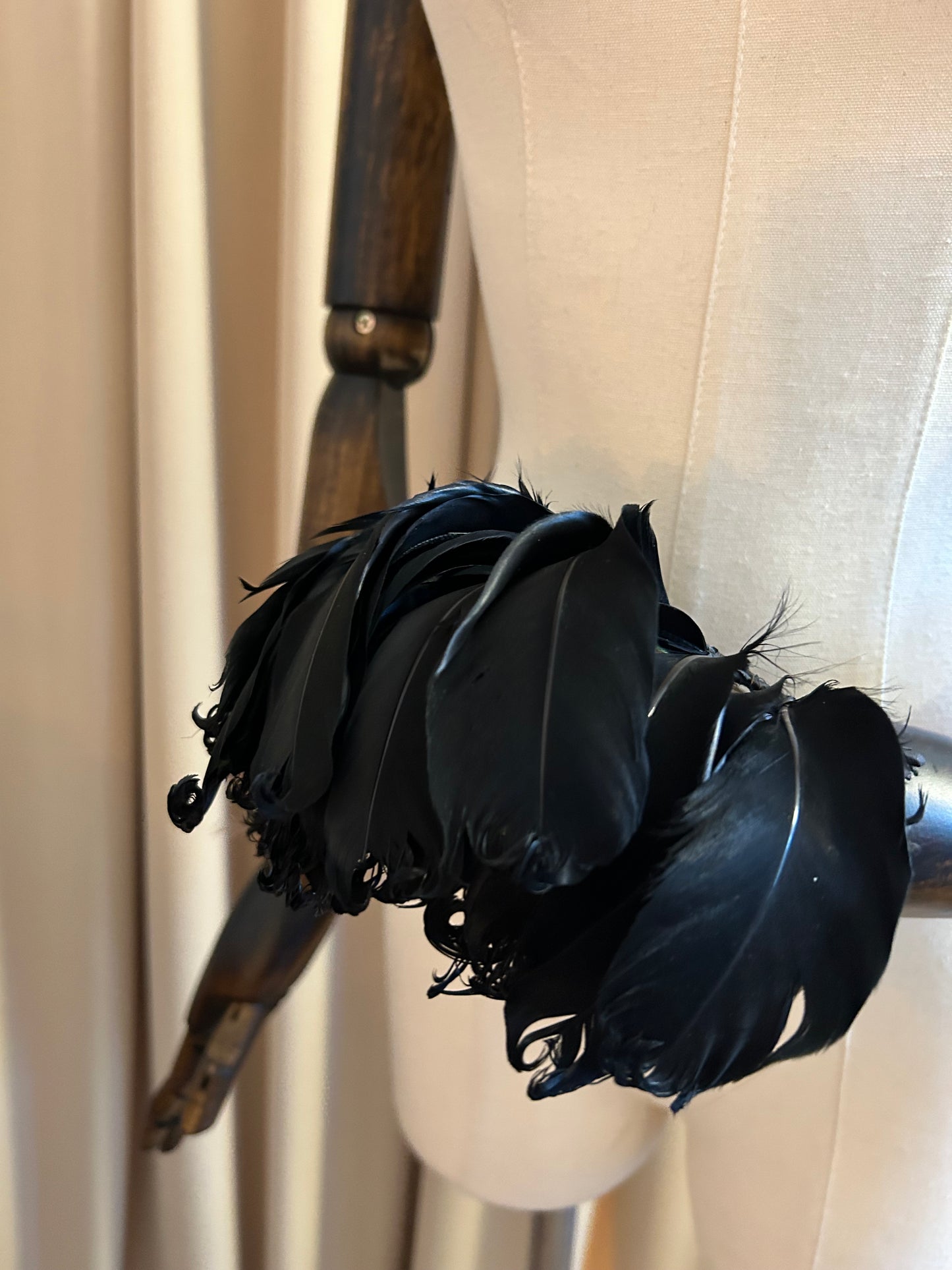 Black Feather Plumage