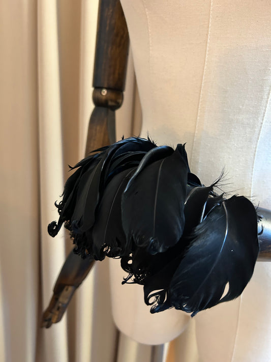 Black Feather Plumage