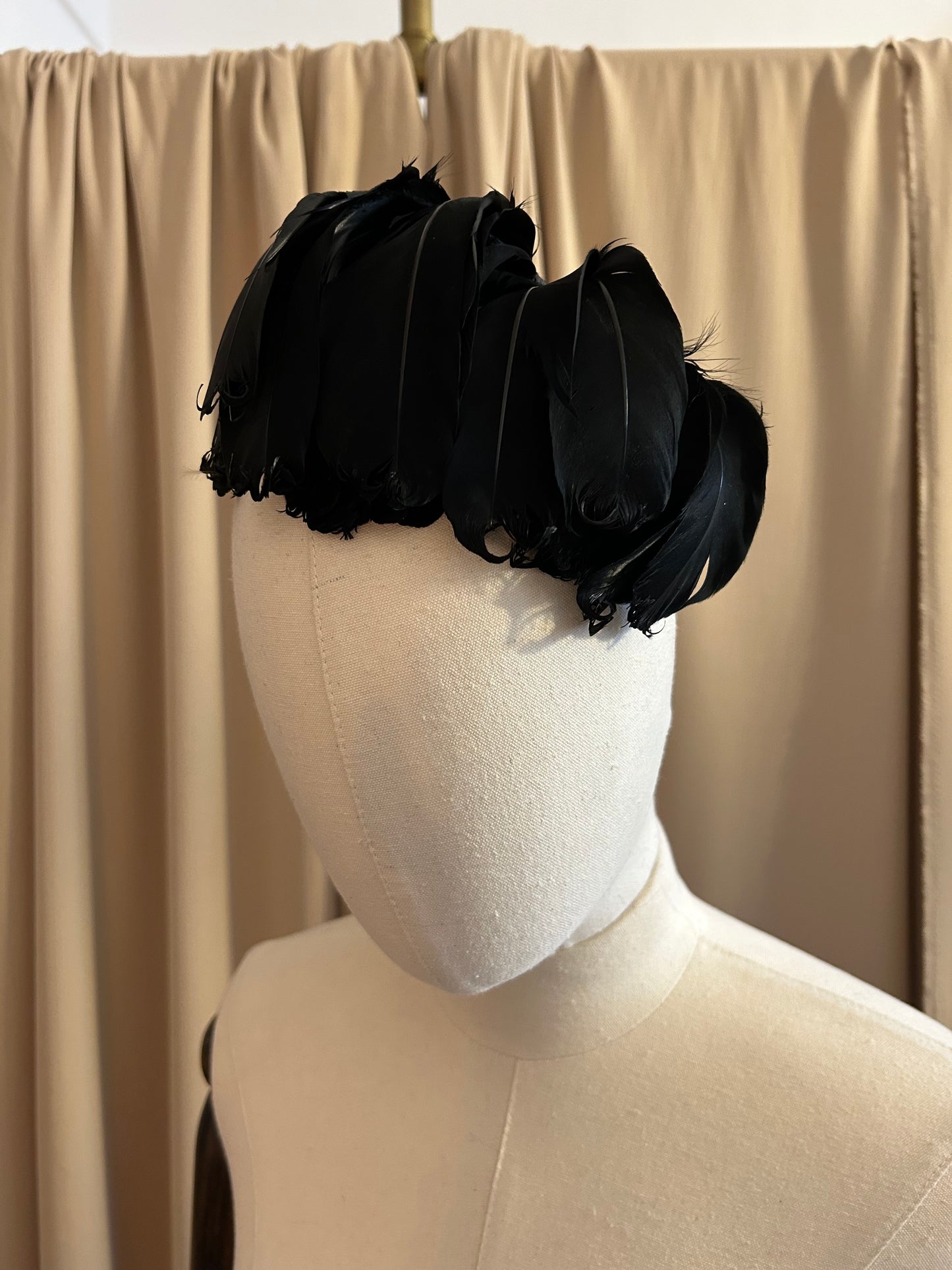 Black Feather Plumage