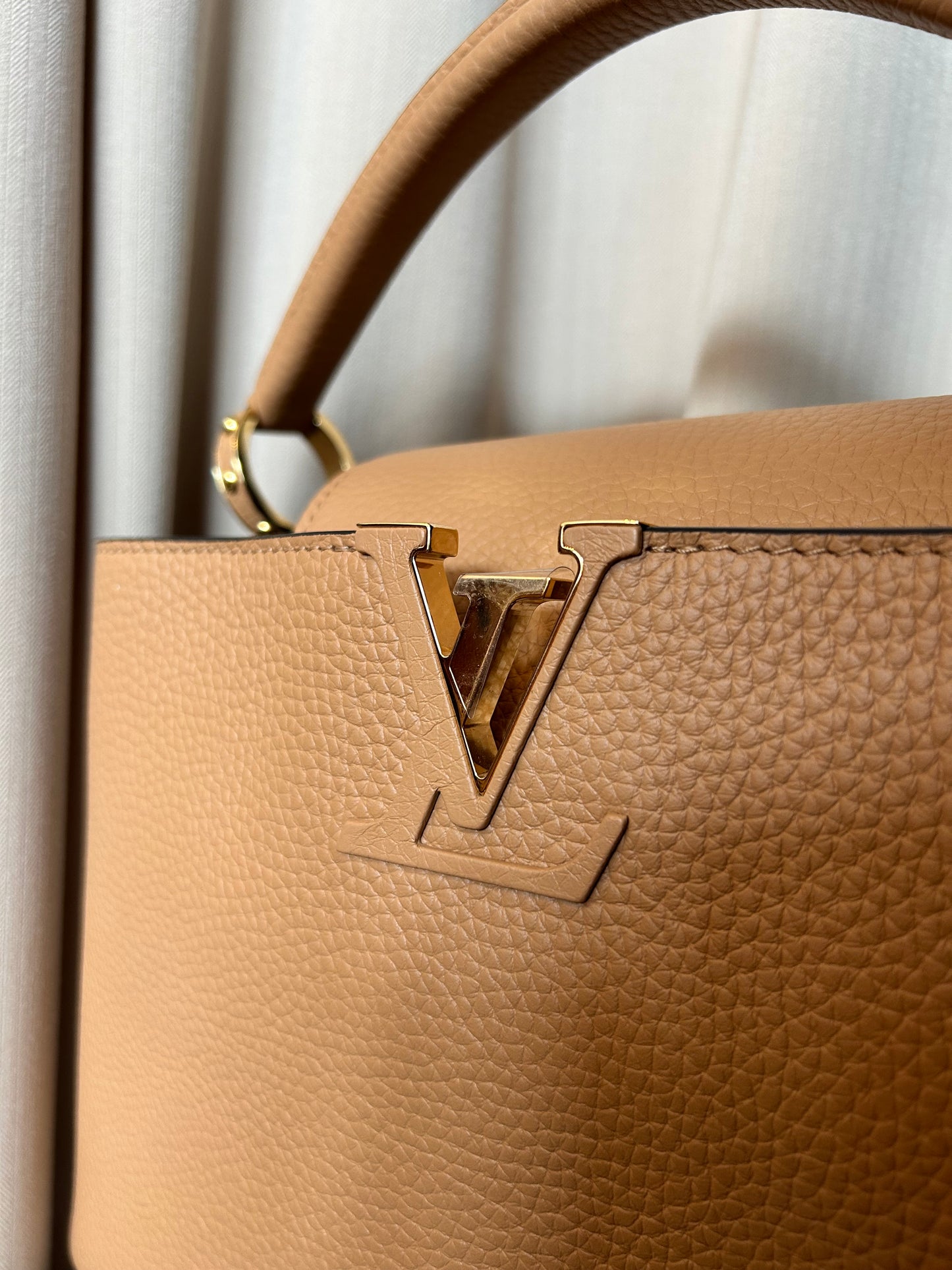 Louis Vuitton Capucine Bag
