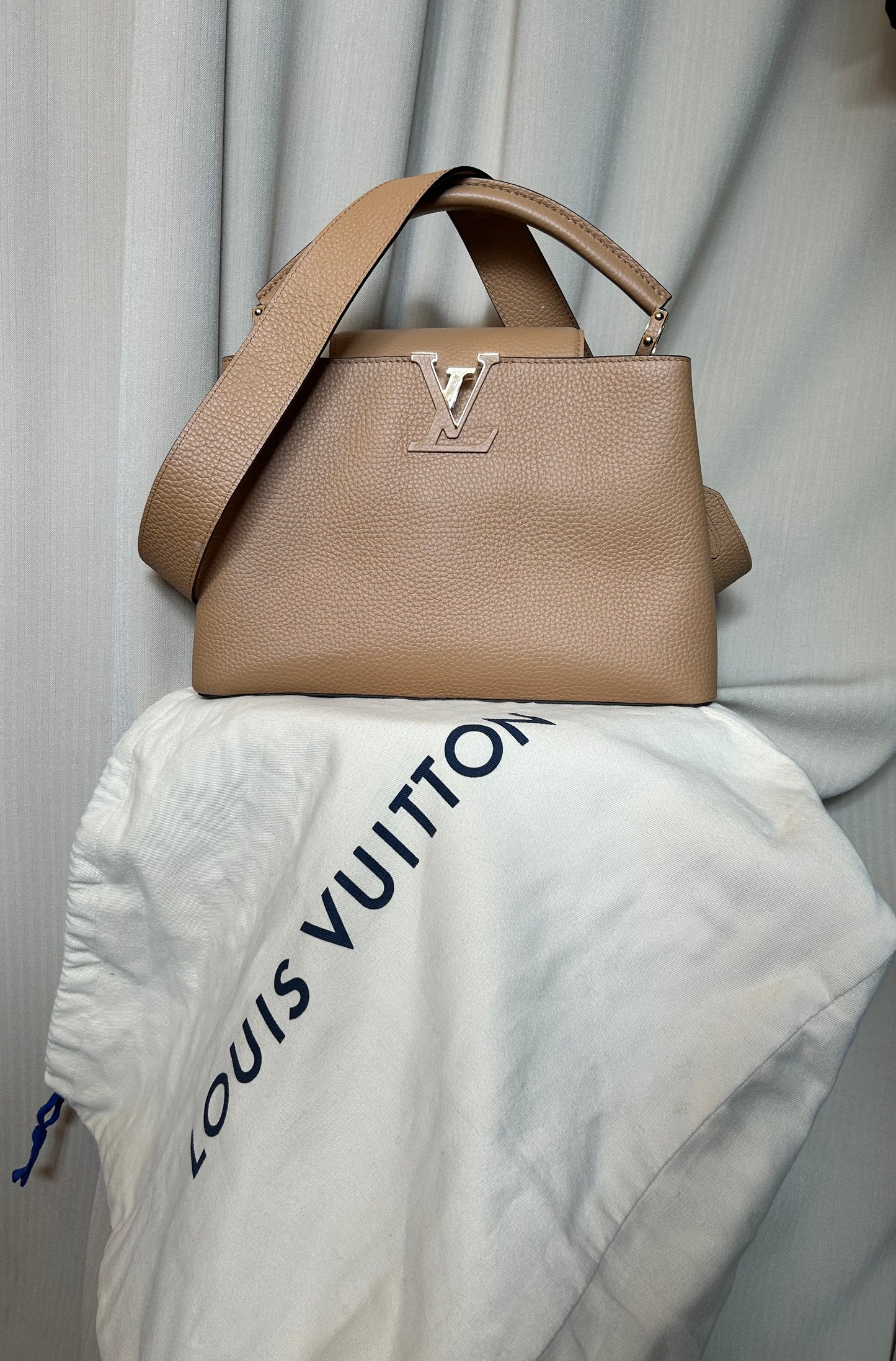 Louis Vuitton Capucine Bag