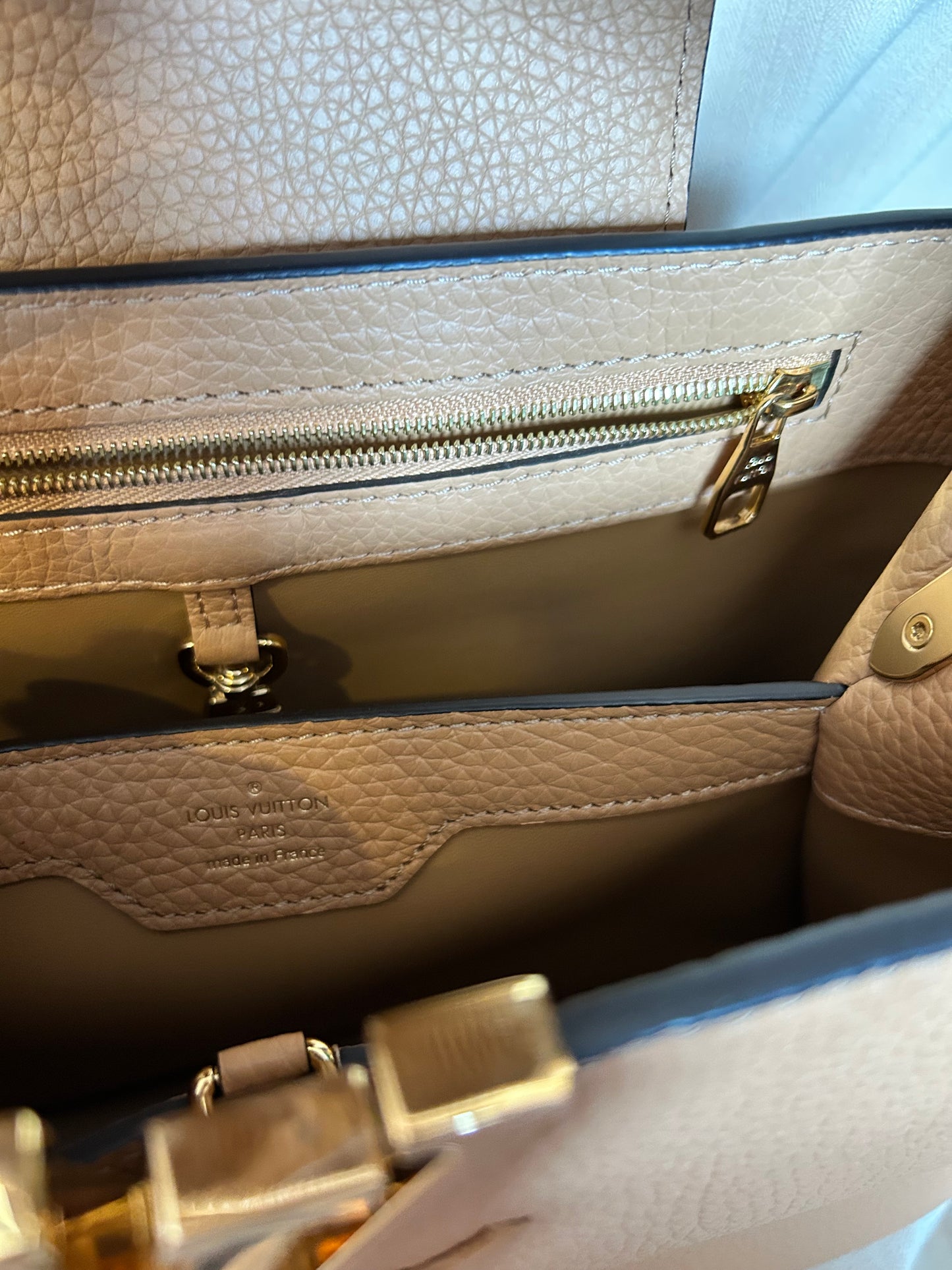 Louis Vuitton Capucine Bag
