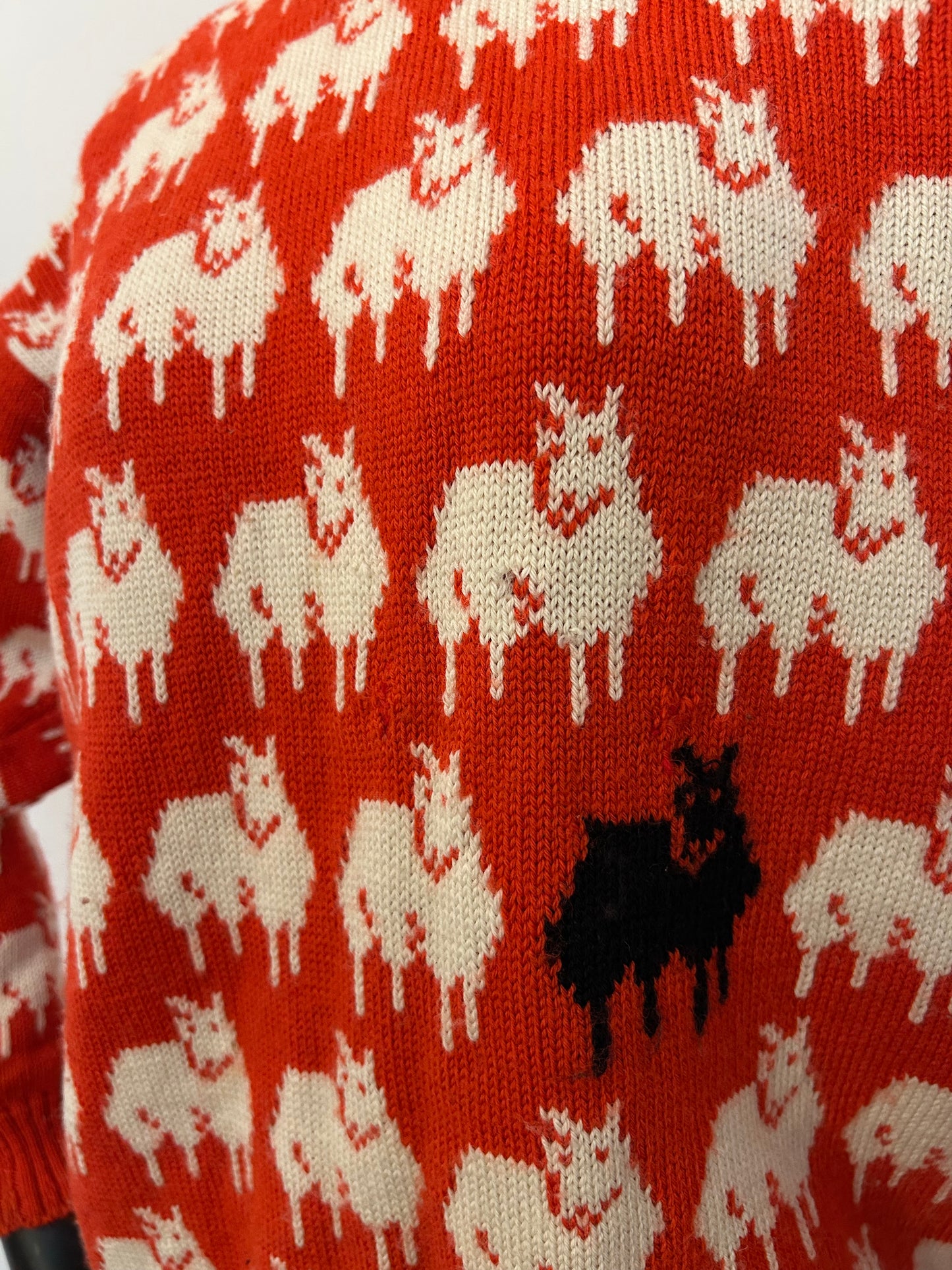 Lady Diana's Black Sheep Jumper