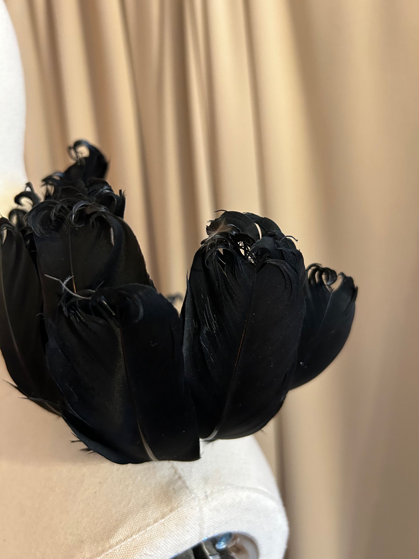 Black Feather Plumage