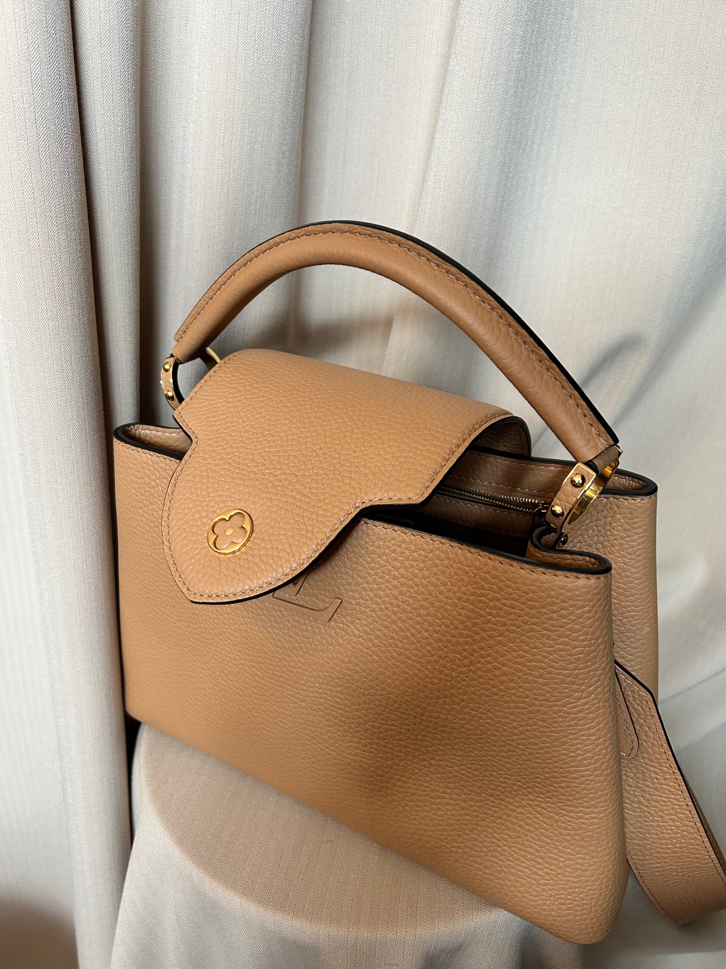 Louis Vuitton Capucine Bag
