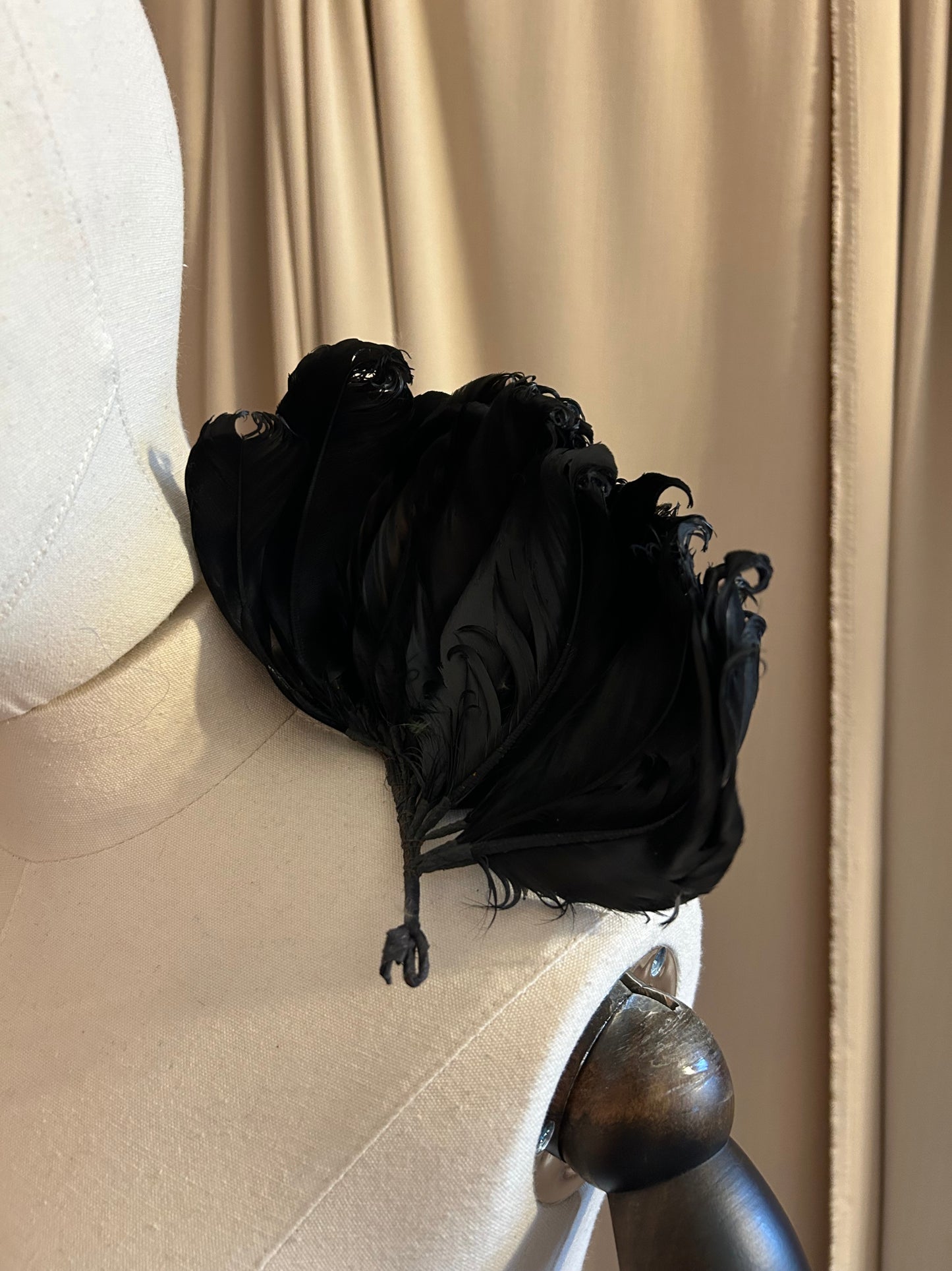 Black Feather Plumage